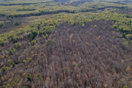 Land for Sale in Glidden, Wisconsin - image 14