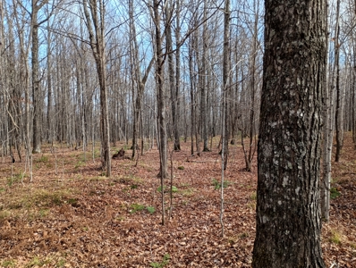Land for Sale in Glidden, Wisconsin - image 21