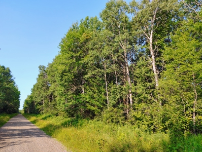 Land for Sale in Glidden, Wisconsin - image 11