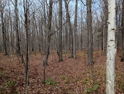 Land for Sale in Glidden, Wisconsin - image 20