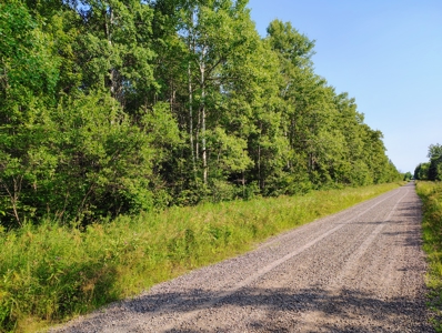 Land for Sale in Glidden, Wisconsin - image 12