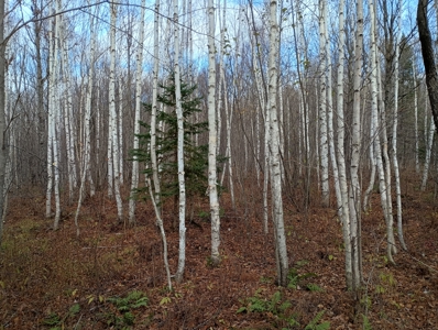 Land for Sale in Glidden, Wisconsin - image 18