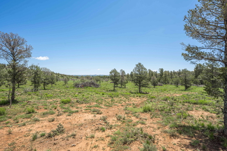 Well-Improved Working Ranch for Sale in Weed, NM - image 7
