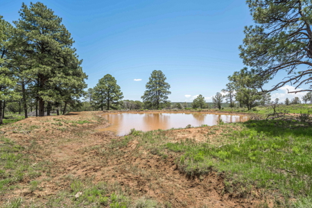 Well-Improved Working Ranch for Sale in Weed, NM - image 11