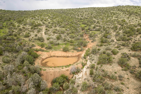 Well-Improved Working Ranch for Sale in Weed, NM - image 34