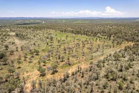 Well-Improved Working Ranch for Sale in Weed, NM - image 5