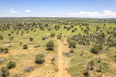 Well-Improved Working Ranch for Sale in Weed, NM - image 12