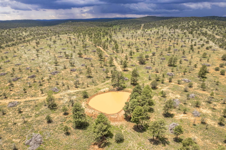 Well-Improved Working Ranch for Sale in Weed, NM - image 9