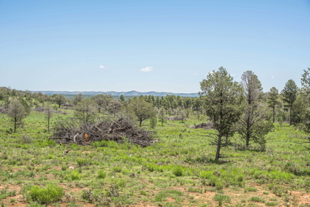 Well-Improved Working Ranch for Sale in Weed, NM - image 8