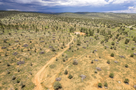 Well-Improved Working Ranch for Sale in Weed, NM - image 10