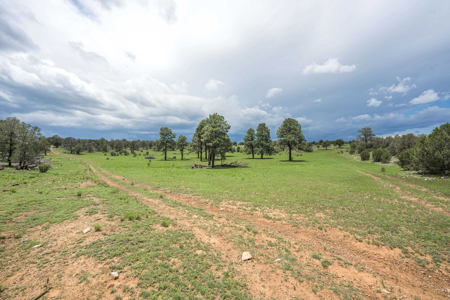 Well-Improved Working Ranch for Sale in Weed, NM - image 21