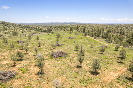 Well-Improved Working Ranch for Sale in Weed, NM - image 6