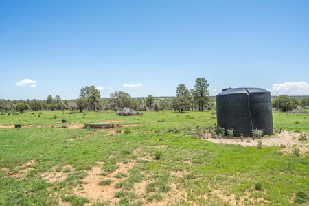 Well-Improved Working Ranch for Sale in Weed, NM - image 14