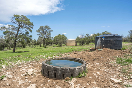 Well-Improved Working Ranch for Sale in Weed, NM - image 20