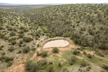 Well-Improved Working Ranch for Sale in Weed, NM - image 33