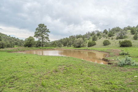 Well-Improved Working Ranch for Sale in Weed, NM - image 35