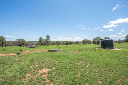 Well-Improved Working Ranch for Sale in Weed, NM - image 15