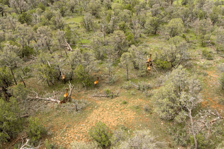 Well-Improved Working Ranch for Sale in Weed, NM - image 32