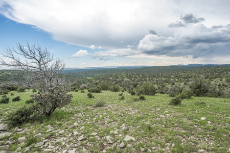 Well-Improved Working Ranch for Sale in Weed, NM - image 29