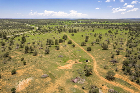 Well-Improved Working Ranch for Sale in Weed, NM - image 13