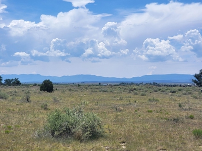 10 Acres for Sale in Estancia NM with Mountain Views - image 1
