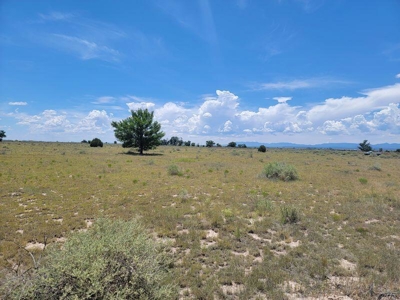 10 Acres for Sale in Estancia NM with Mountain Views - image 3