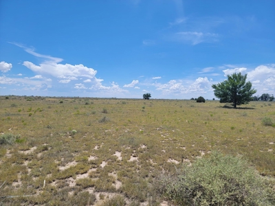 10 Acres for Sale in Estancia NM with Mountain Views - image 2