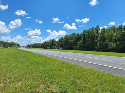 2 Acres On Us 19, Zoned Commercial--Old Town, Florida - image 3