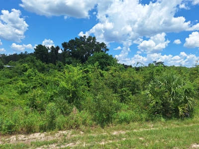 2 Acres On Us 19, Zoned Commercial--Old Town, Florida - image 4