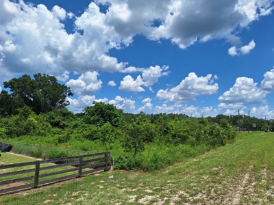2 Acres On Us 19, Zoned Commercial--Old Town, Florida - image 2