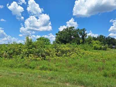2 Acres On Us 19, Zoned Commercial--Old Town, Florida - image 6