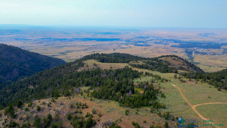 Casper Mountain, Wyoming Cabin on 16+/- acres For Sale - image 7