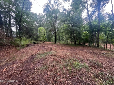 2.70 Prime Commercial Property in Raymond, MS - image 8