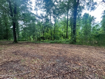 Listing 213