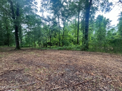2.70 Prime Commercial Property in Raymond, MS - image 11