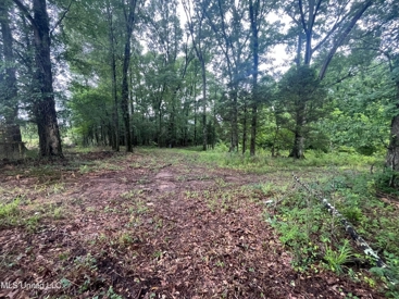 Listing 213