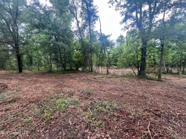 Listing 213