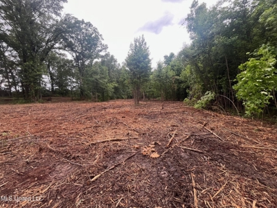 2.70 Prime Commercial Property in Raymond, MS - image 14