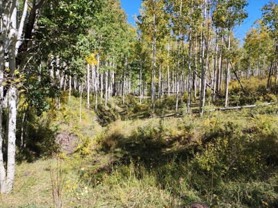 Western Colorado Ranch with Cabins, Ponds, Springs For Sale - image 44