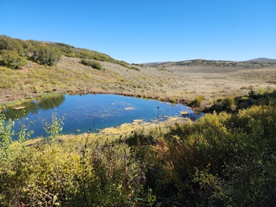 Western Colorado Ranch with Cabins, Ponds, Springs For Sale - image 19