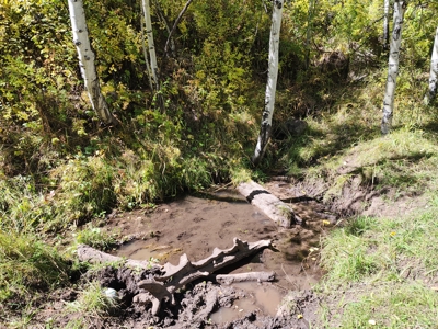 Western Colorado Ranch with Cabins, Ponds, Springs For Sale - image 40