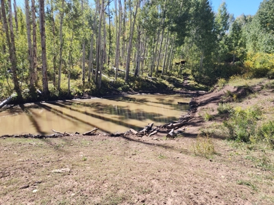 Western Colorado Ranch with Cabins, Ponds, Springs For Sale - image 39