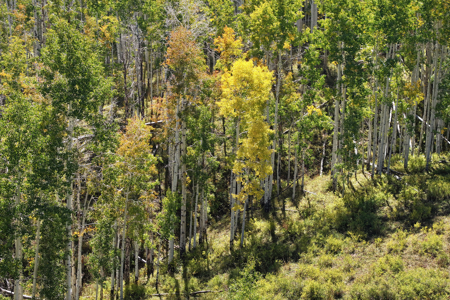 Western Colorado Ranch with Cabins, Ponds, Springs For Sale - image 24