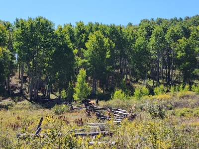 Western Colorado Ranch with Cabins, Ponds, Springs For Sale - image 20