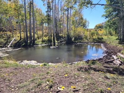 Western Colorado Ranch with Cabins, Ponds, Springs For Sale - image 42