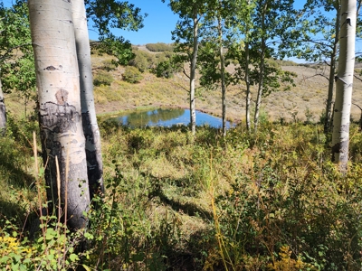 Western Colorado Ranch with Cabins, Ponds, Springs For Sale - image 18