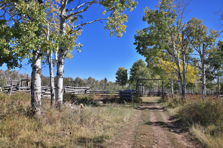 Western Colorado Ranch with Cabins, Ponds, Springs For Sale - image 4