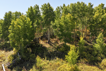 Western Colorado Ranch with Cabins, Ponds, Springs For Sale - image 22