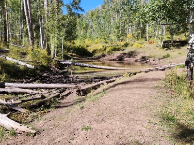 Western Colorado Ranch with Cabins, Ponds, Springs For Sale - image 38