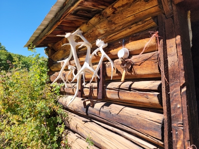 Western Colorado Ranch with Cabins, Ponds, Springs For Sale - image 13